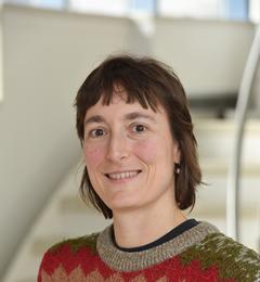 Dr Marina Carravetta